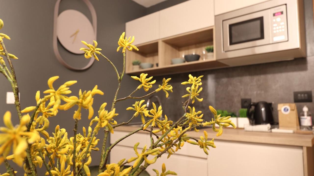 Etal Luxury Apartment دوبروفينك المظهر الخارجي الصورة